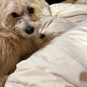 Meet your Posher, Rhonda